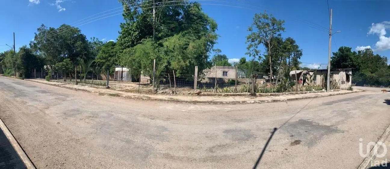 Terreno en Venta en Santa Cruz, Tizimín, Yucatán | NEX-107399 | iad México | Foto 12 de 16