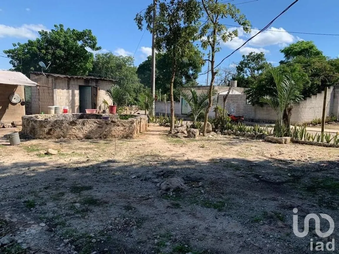 Terreno en Venta en Santa Cruz, Tizimín, Yucatán | NEX-107399 | iad México | Foto 15 de 16