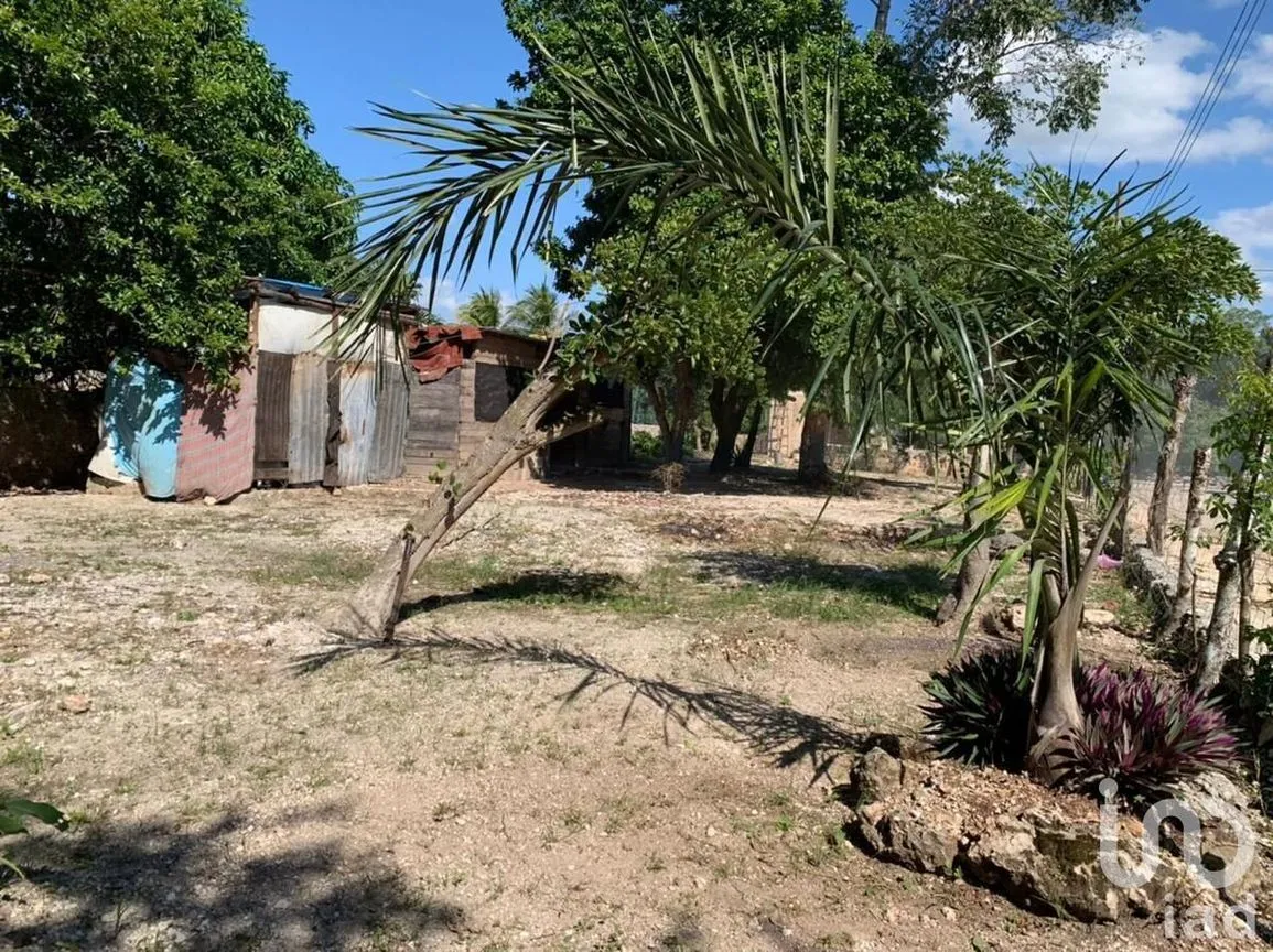 Terreno en Venta en Santa Cruz, Tizimín, Yucatán | NEX-107399 | iad México | Foto 13 de 16