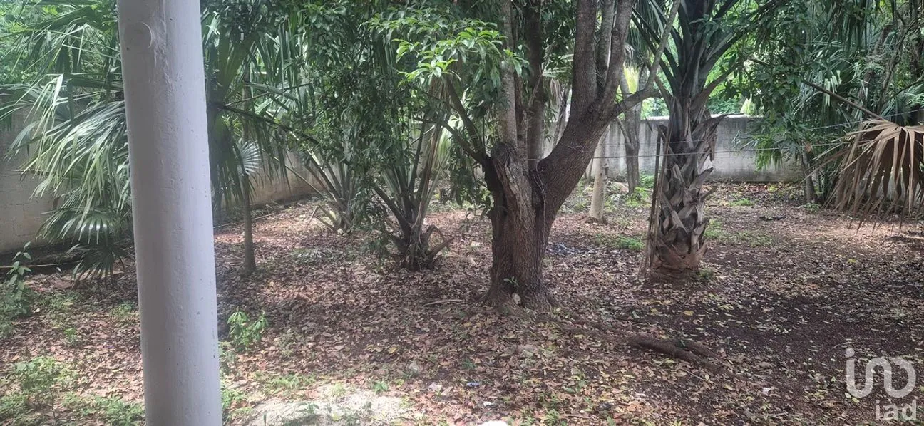 Casa en Venta en Santa Maria, Tizimín, Yucatán | NEX-274215 | iad México | Foto 18 de 19
