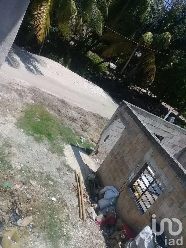 Terreno en Venta en El Cuyo, Tizimín, Yucatán | NEX-274267 | iad México | Foto 2 de 6