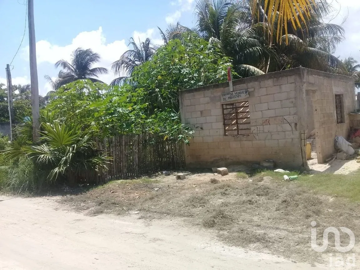 Terreno en Venta en El Cuyo, Tizimín, Yucatán | NEX-274267 | iad México | Foto 3 de 6