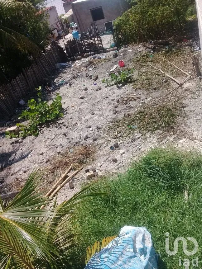 Terreno en Venta en El Cuyo, Tizimín, Yucatán | NEX-274267 | iad México | Foto 5 de 6