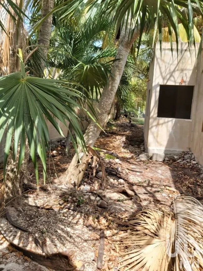 Terreno en Venta en El Cuyo, Tizimín, Yucatán | NEX-274292 | iad México | Foto 17 de 18