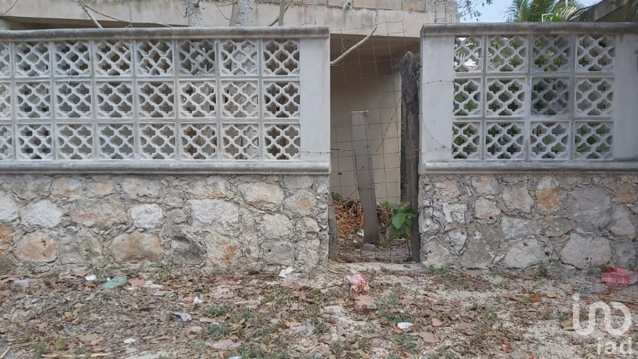 Terreno en Venta en El Cuyo, Tizimín, Yucatán | NEX-274292 | iad México | Foto 4 de 18