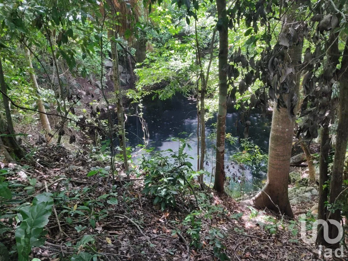 Terreno en Venta en Colonia Yucatán, Tizimín, Yucatán | NEX-274334 | iad México | Foto 2 de 9