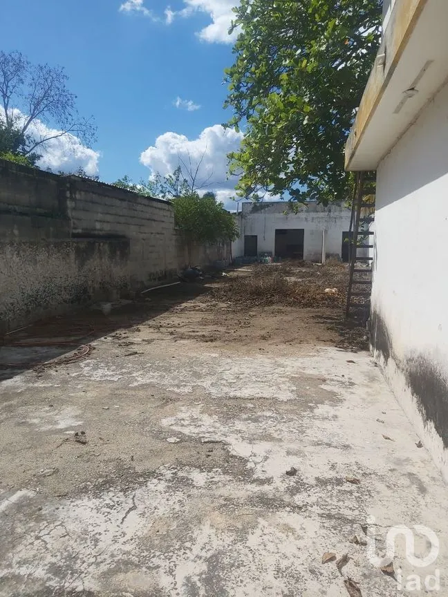 Casa en Renta en Tizimin Centro, Tizimín, Yucatán | NEX-274339 | iad México | Foto 7 de 17