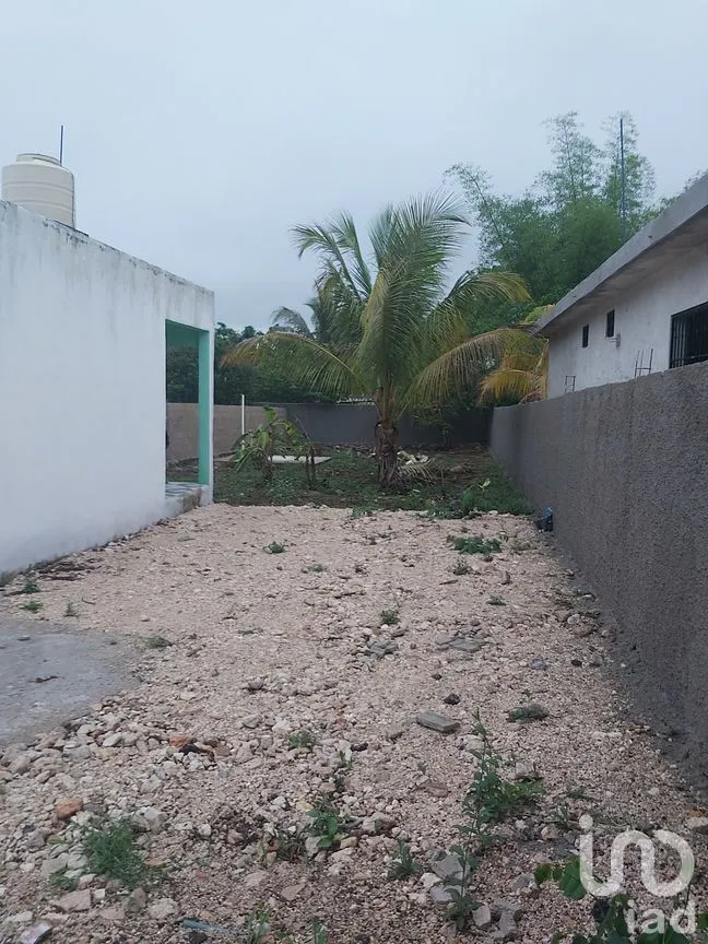 Terreno en Venta en Santa Rosa, Tizimín, Yucatán | NEX-274351 | iad México | Foto 4 de 9