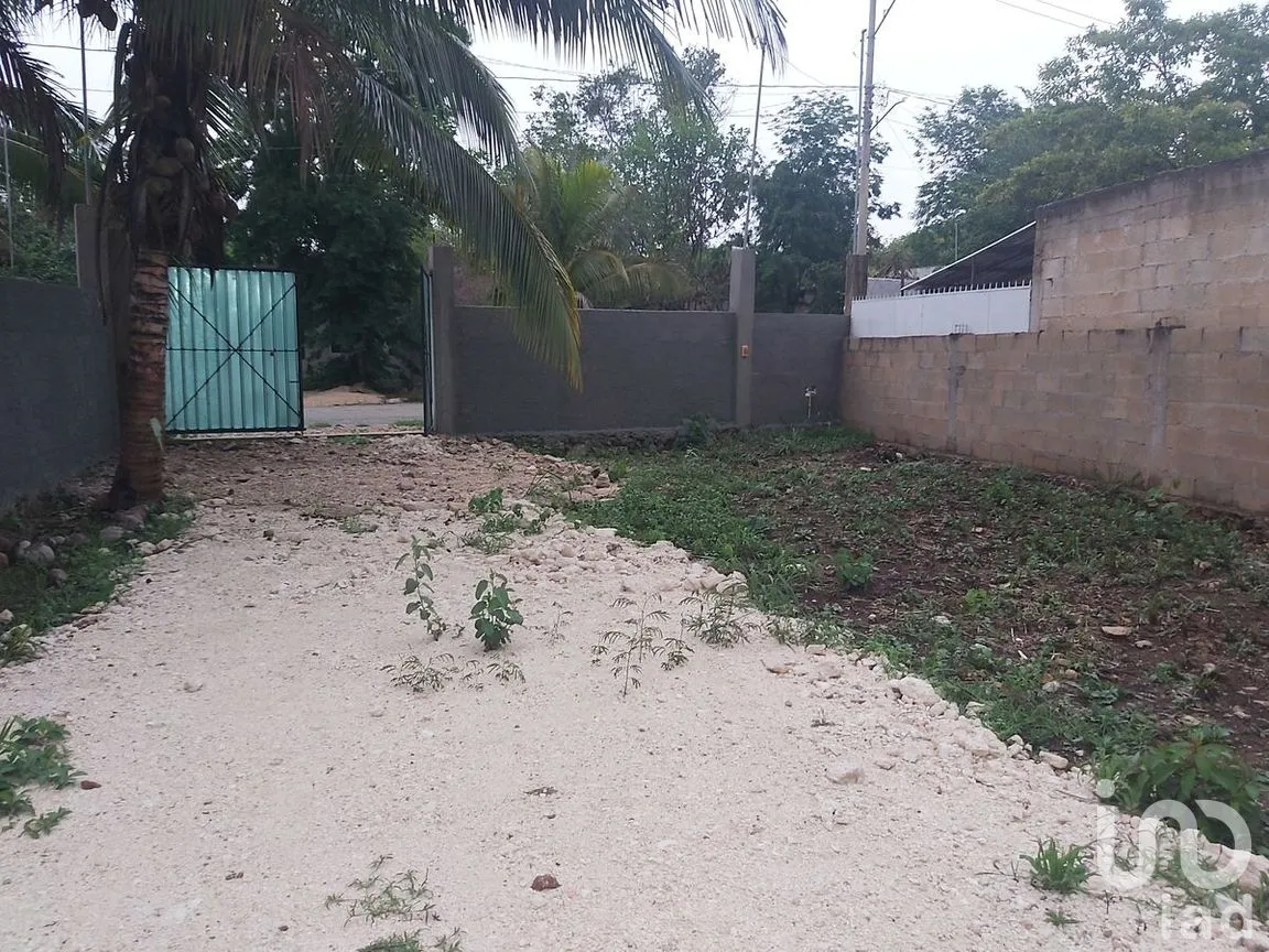 Terreno en Venta en Santa Rosa, Tizimín, Yucatán | NEX-274351 | iad México | Foto 5 de 9