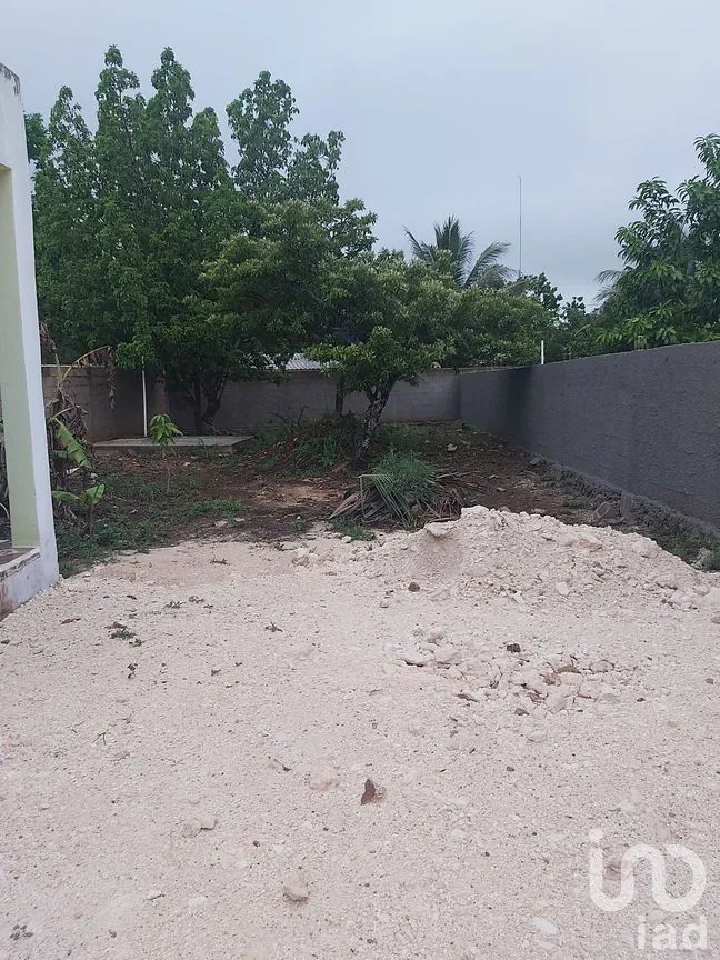 Terreno en Venta en Santa Rosa, Tizimín, Yucatán | NEX-274351 | iad México | Foto 6 de 9