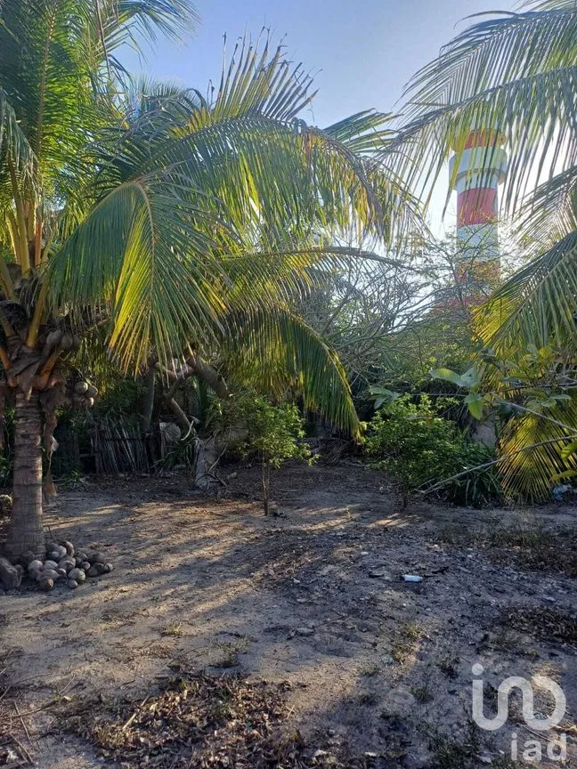 Casa en Venta en El Cuyo, Tizimín, Yucatán | NEX-274373 | iad México | Foto 8 de 9