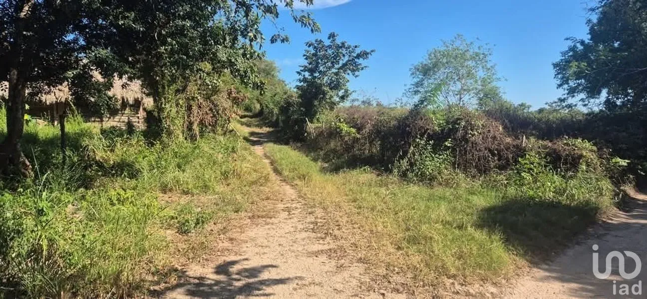 Terreno en Venta en Huayita, Tizimín, Yucatán | NEX-274376 | iad México | Foto 1 de 3
