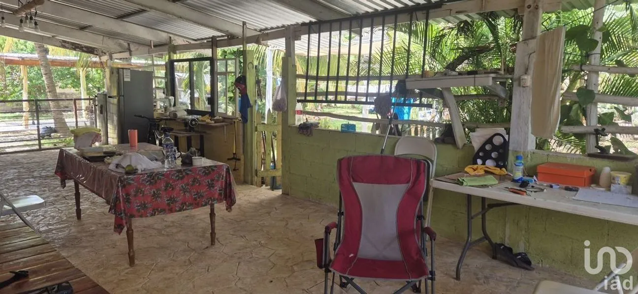 Casa en Venta en Tizimin Centro, Tizimín, Yucatán | NEX-274386 | iad México | Foto 11 de 21