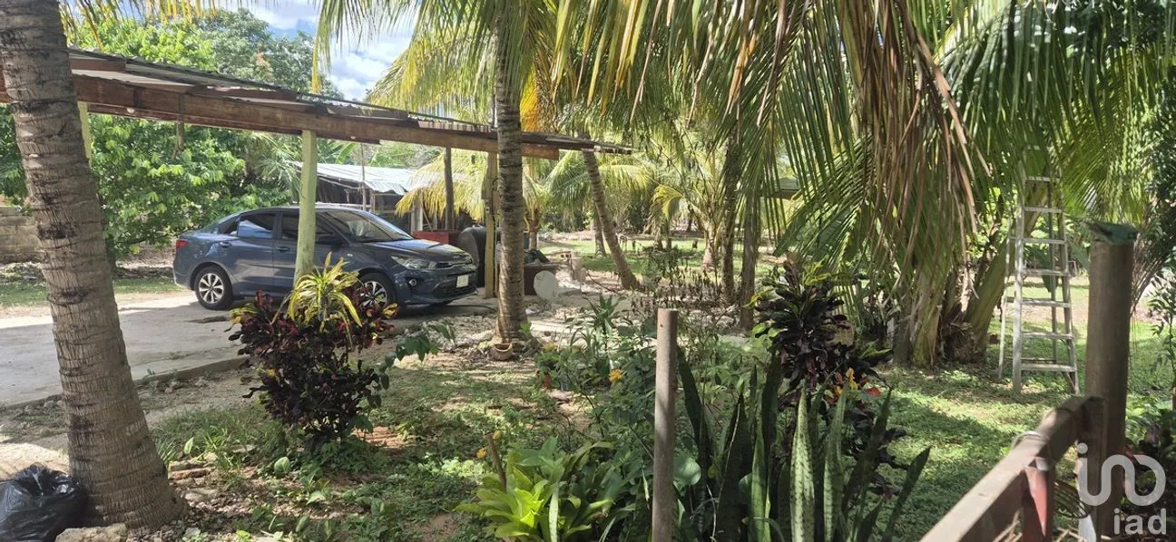 Casa en Venta en Tizimin Centro, Tizimín, Yucatán | NEX-274386 | iad México | Foto 12 de 21
