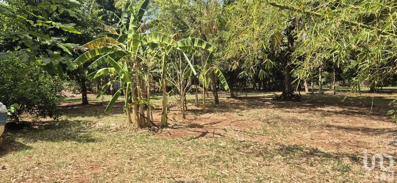 Casa en Venta en Tizimin Centro, Tizimín, Yucatán | NEX-274386 | iad México | Foto 17 de 21