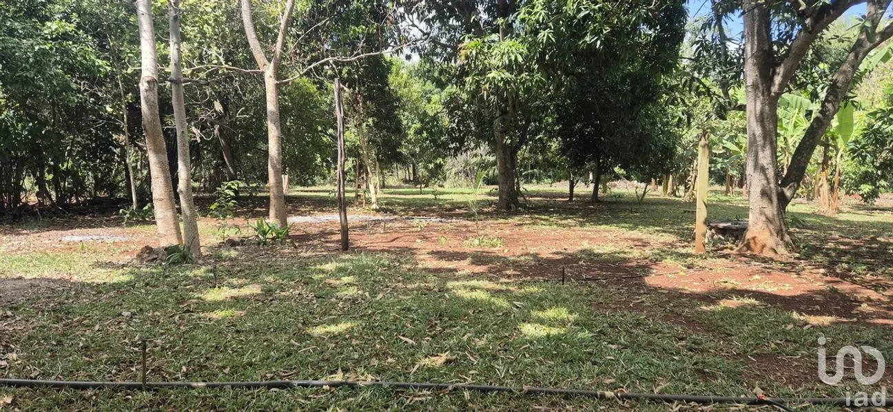 Casa en Venta en Tizimin Centro, Tizimín, Yucatán | NEX-274386 | iad México | Foto 8 de 21