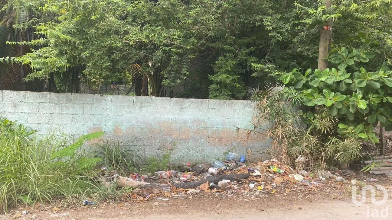 Terreno en Venta en El Cuyo, Tizimín, Yucatán | NEX-274388 | iad México | Foto 3 de 7