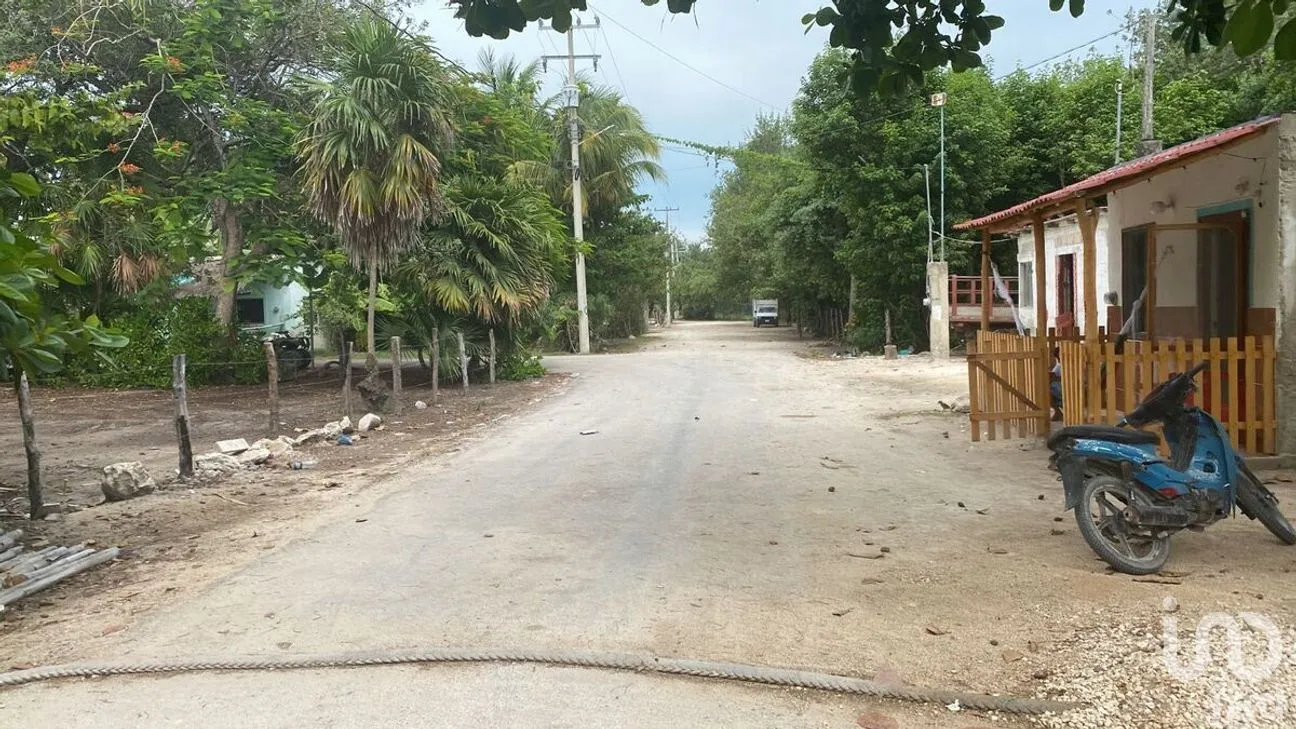Terreno en Venta en El Cuyo, Tizimín, Yucatán | NEX-274388 | iad México | Foto 4 de 7