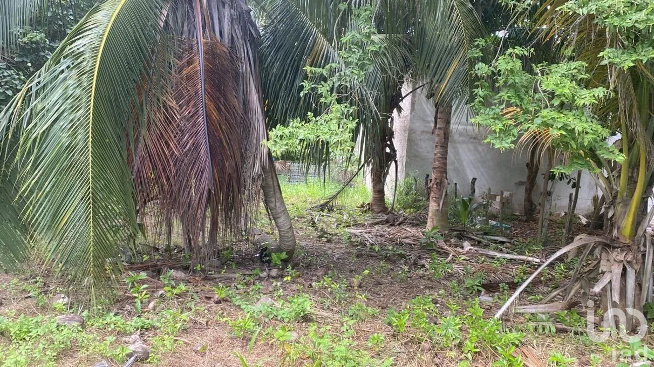 Terreno en Venta en El Cuyo, Tizimín, Yucatán | NEX-274388 | iad México | Foto 5 de 7