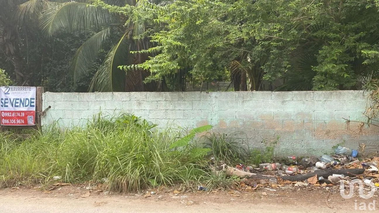 Terreno en Venta en El Cuyo, Tizimín, Yucatán | NEX-274388 | iad México | Foto 1 de 7