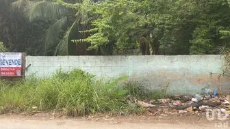NEX-274388 - Terreno en Venta en El Cuyo, CP 97707, Yucatán.