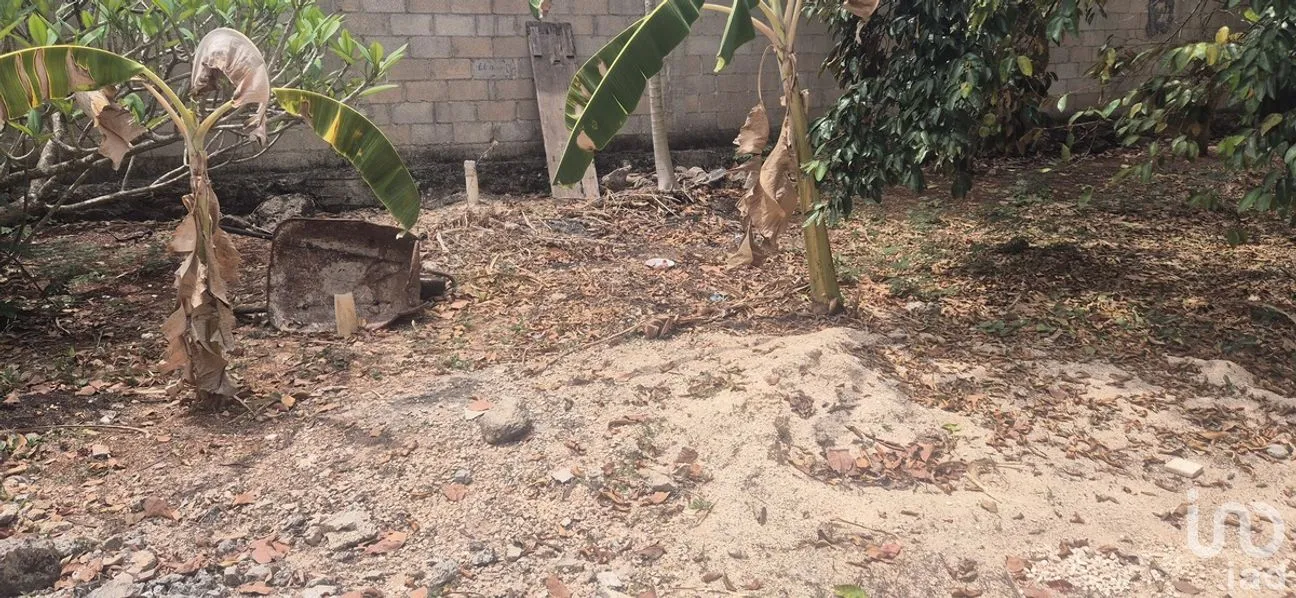 Casa en Venta en Huayita, Tizimín, Yucatán | NEX-274390 | iad México | Foto 12 de 15