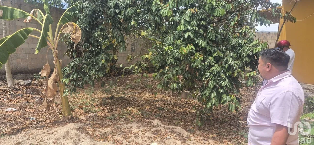 Casa en Venta en Huayita, Tizimín, Yucatán | NEX-274390 | iad México | Foto 14 de 15