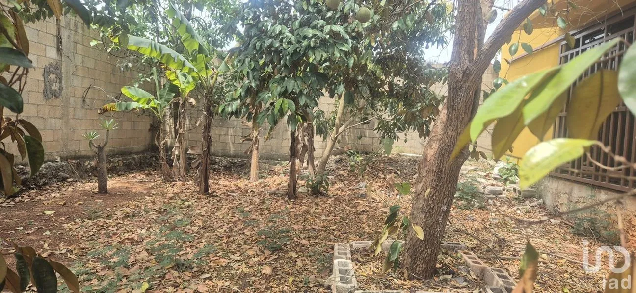 Casa en Venta en Huayita, Tizimín, Yucatán | NEX-274390 | iad México | Foto 15 de 15