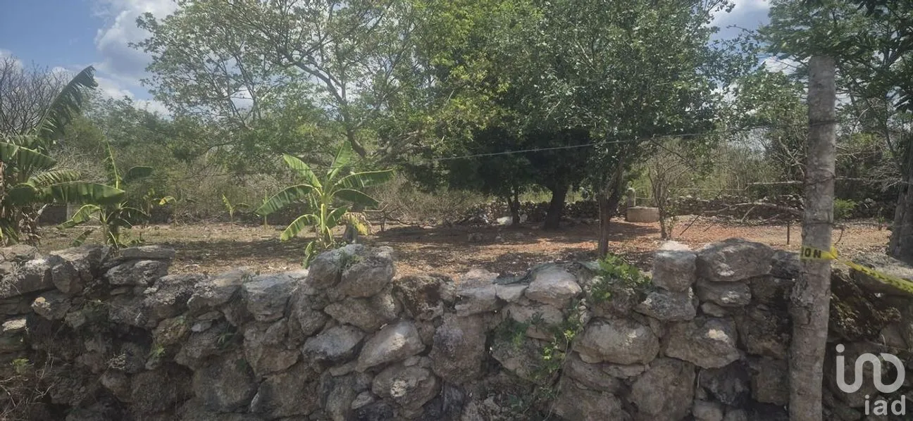 Terreno en Venta en 8 Calles, Tizimín, Yucatán | NEX-274393 | iad México | Foto 2 de 7