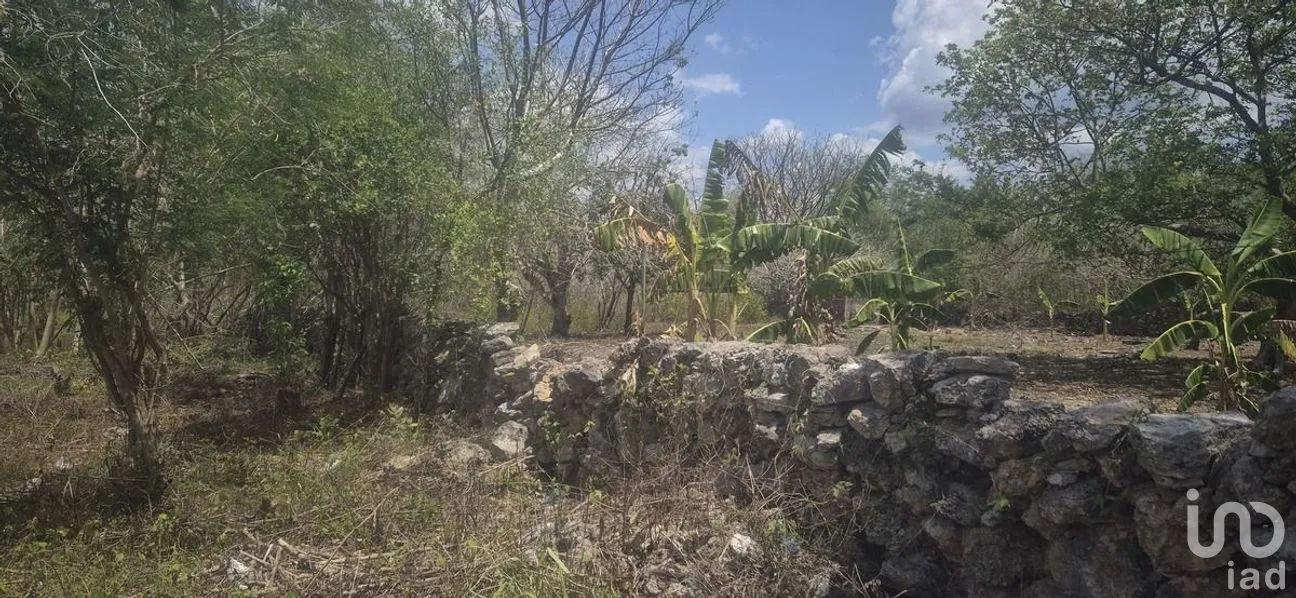 Terreno en Venta en 8 Calles, Tizimín, Yucatán | NEX-274393 | iad México | Foto 3 de 7