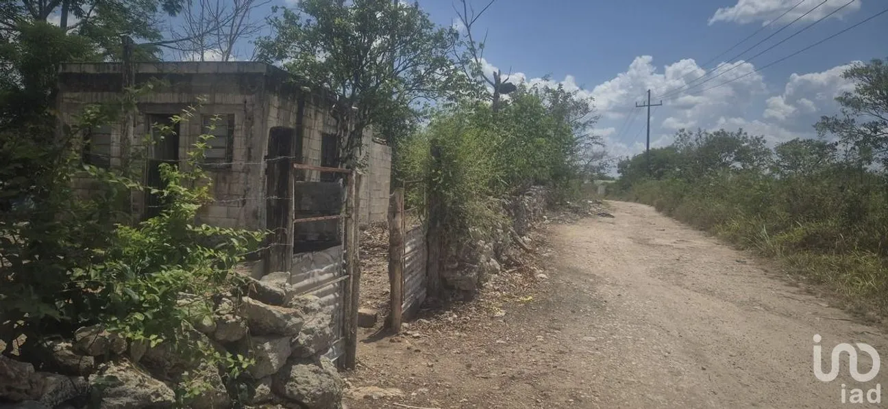 Terreno en Venta en 8 Calles, Tizimín, Yucatán | NEX-274393 | iad México | Foto 4 de 7