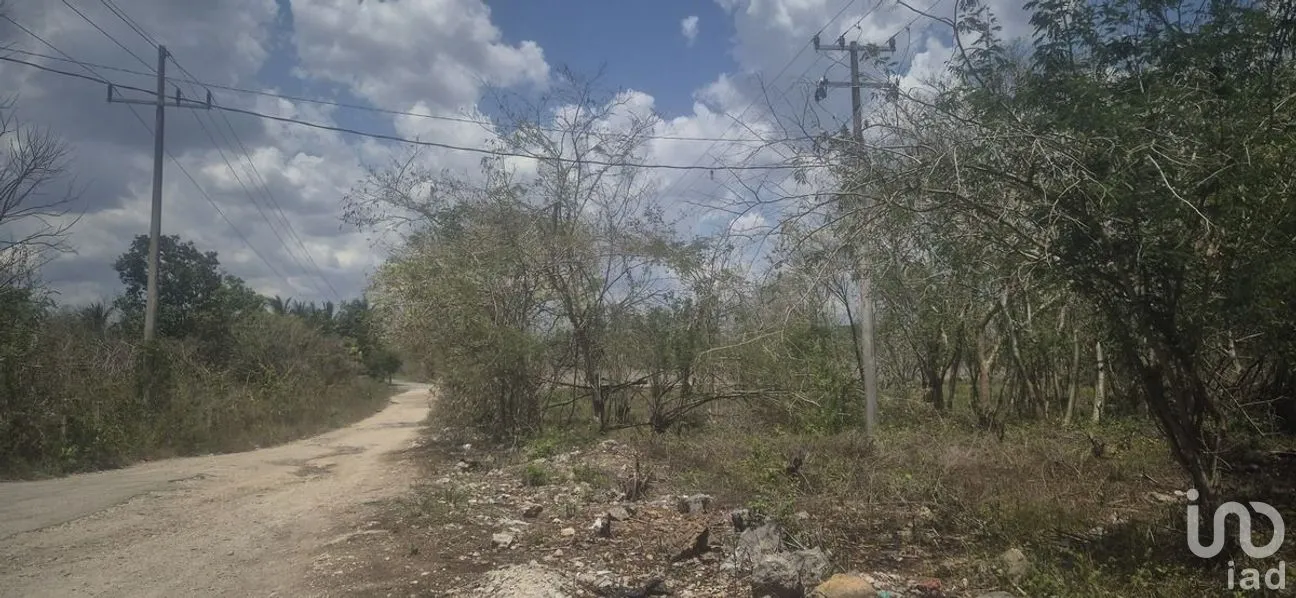 Terreno en Venta en 8 Calles, Tizimín, Yucatán | NEX-274393 | iad México | Foto 5 de 7
