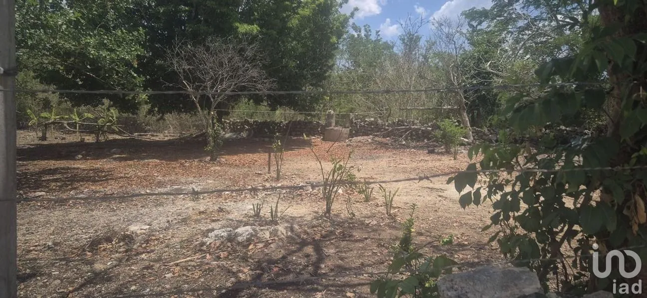 Terreno en Venta en 8 Calles, Tizimín, Yucatán | NEX-274393 | iad México | Foto 6 de 7