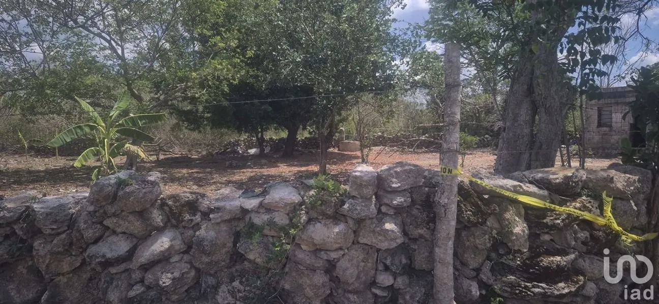 Terreno en Venta en 8 Calles, Tizimín, Yucatán | NEX-274393 | iad México | Foto 1 de 7