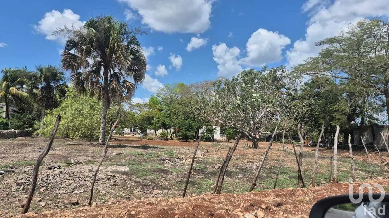 Terreno en Venta en Santa Rosa, Tizimín, Yucatán | NEX-274404 | iad México | Foto 1 de 5