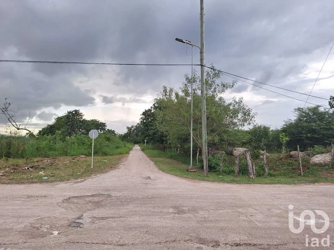 Terreno en Venta en Adolfo López Mateos, Tizimín, Yucatán | NEX-274420 | iad México | Foto 2 de 4