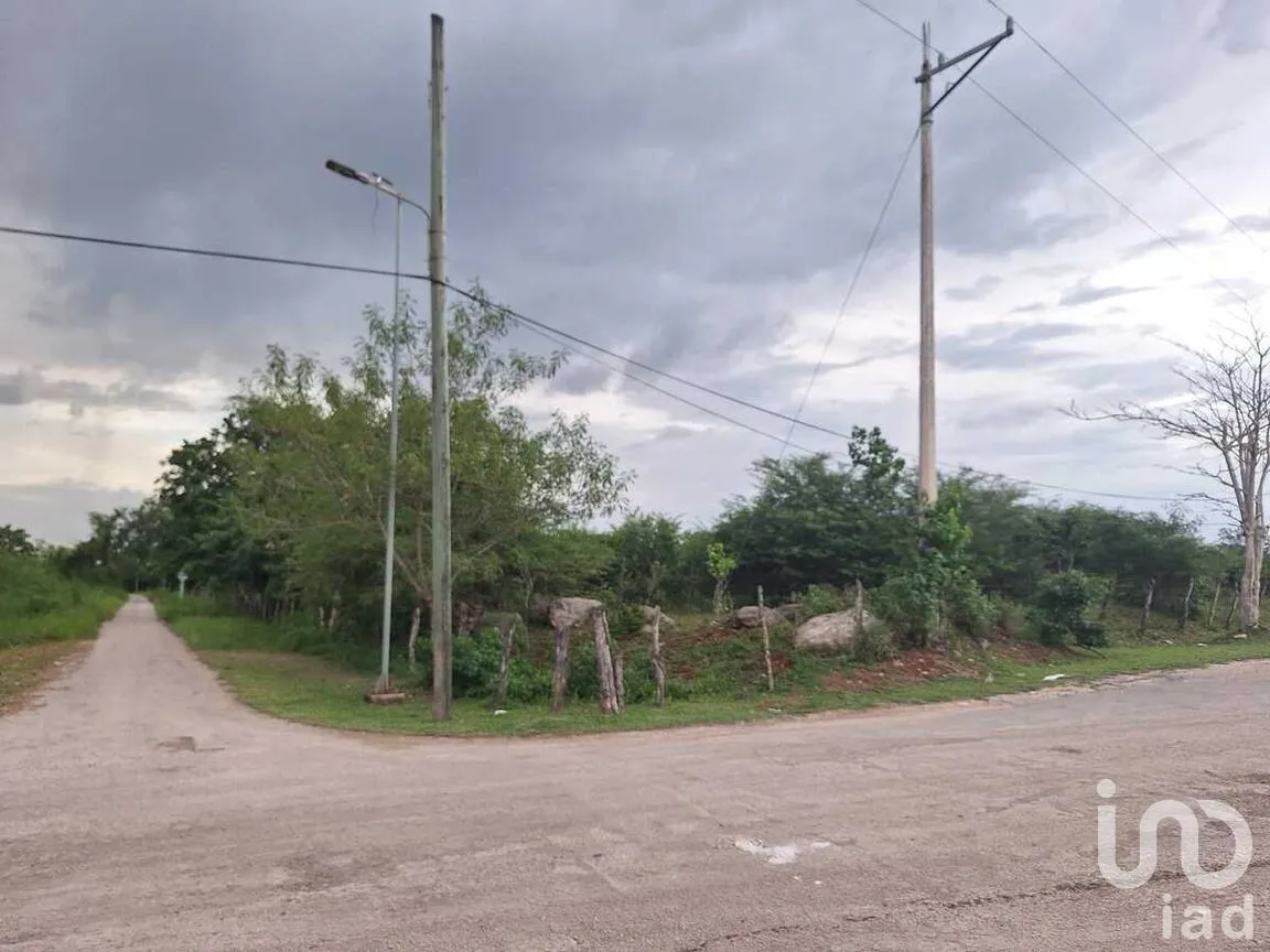 Terreno en Venta en Adolfo López Mateos, Tizimín, Yucatán | NEX-274420 | iad México | Foto 3 de 4