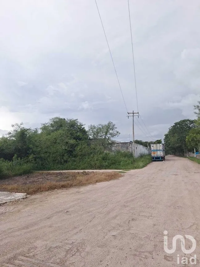 Terreno en Venta en Adolfo López Mateos, Tizimín, Yucatán | NEX-274420 | iad México | Foto 4 de 4