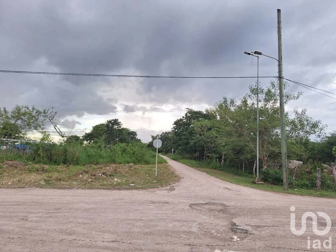 Terreno en Venta en Adolfo López Mateos, Tizimín, Yucatán | NEX-274420 | iad México | Foto 1 de 4