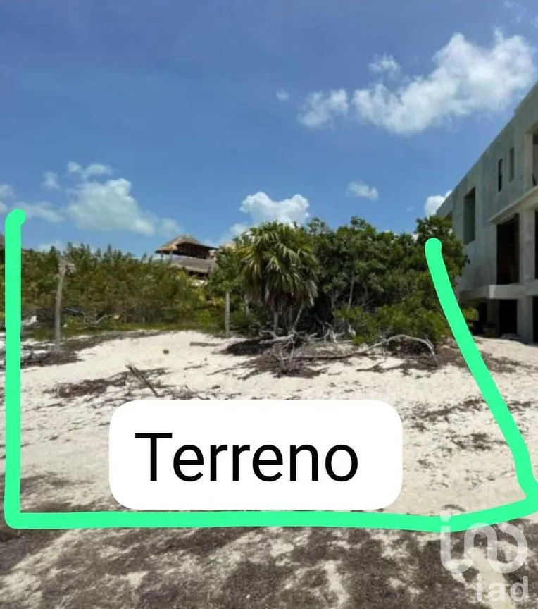 Terreno en Venta en Isla de Holbox, Lázaro Cárdenas, Quintana Roo | NEX-275573 | iad México | Foto 3 de 5