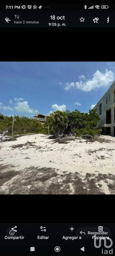 Terreno en Venta en Isla de Holbox, Lázaro Cárdenas, Quintana Roo | NEX-275573 | iad México | Foto 1 de 5