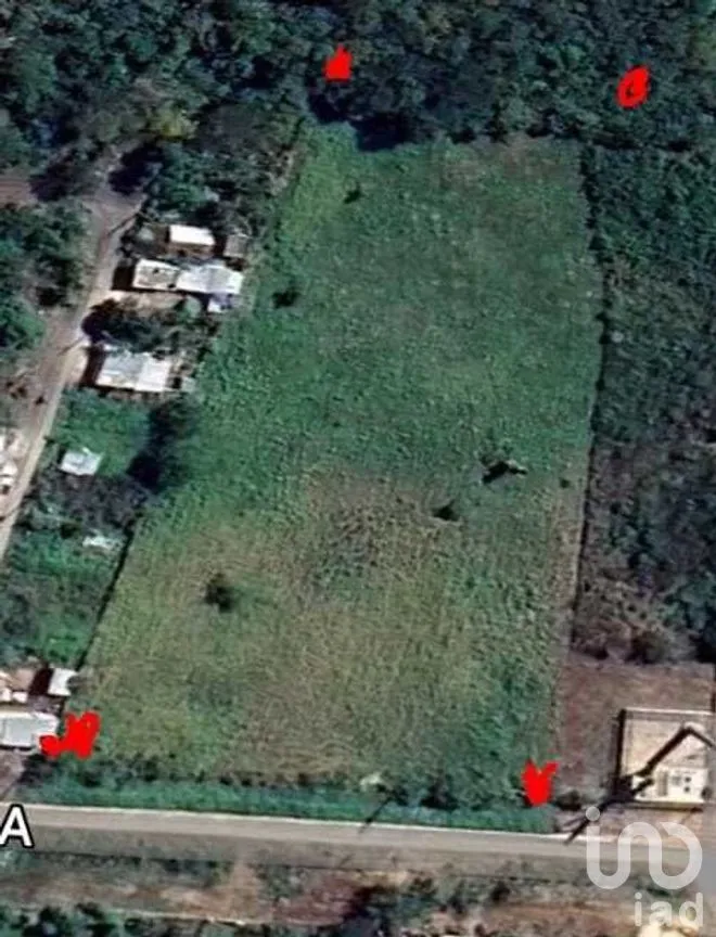 Terreno en Venta en Adolfo López Mateos, Tizimín, Yucatán | NEX-276258 | iad México | Foto 2 de 2