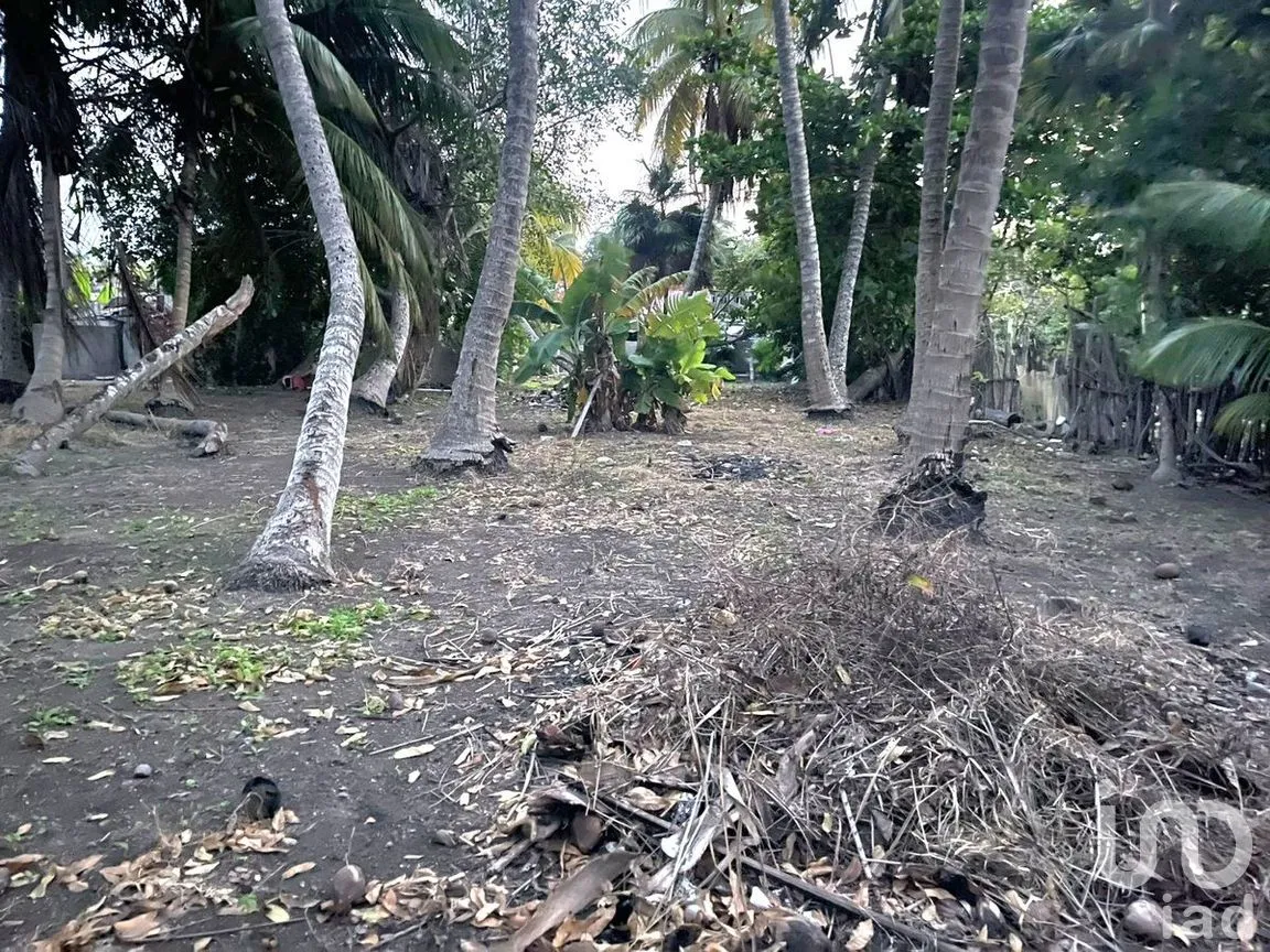 Casa en Venta en El Cuyo, Tizimín, Yucatán | NEX-276518 | iad México | Foto 4 de 6