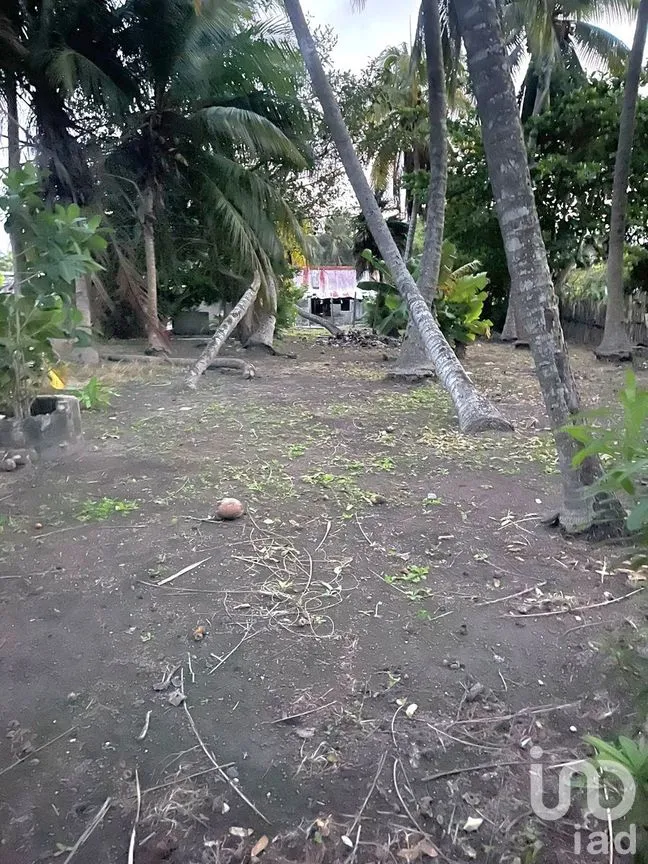Casa en Venta en El Cuyo, Tizimín, Yucatán | NEX-276518 | iad México | Foto 5 de 6