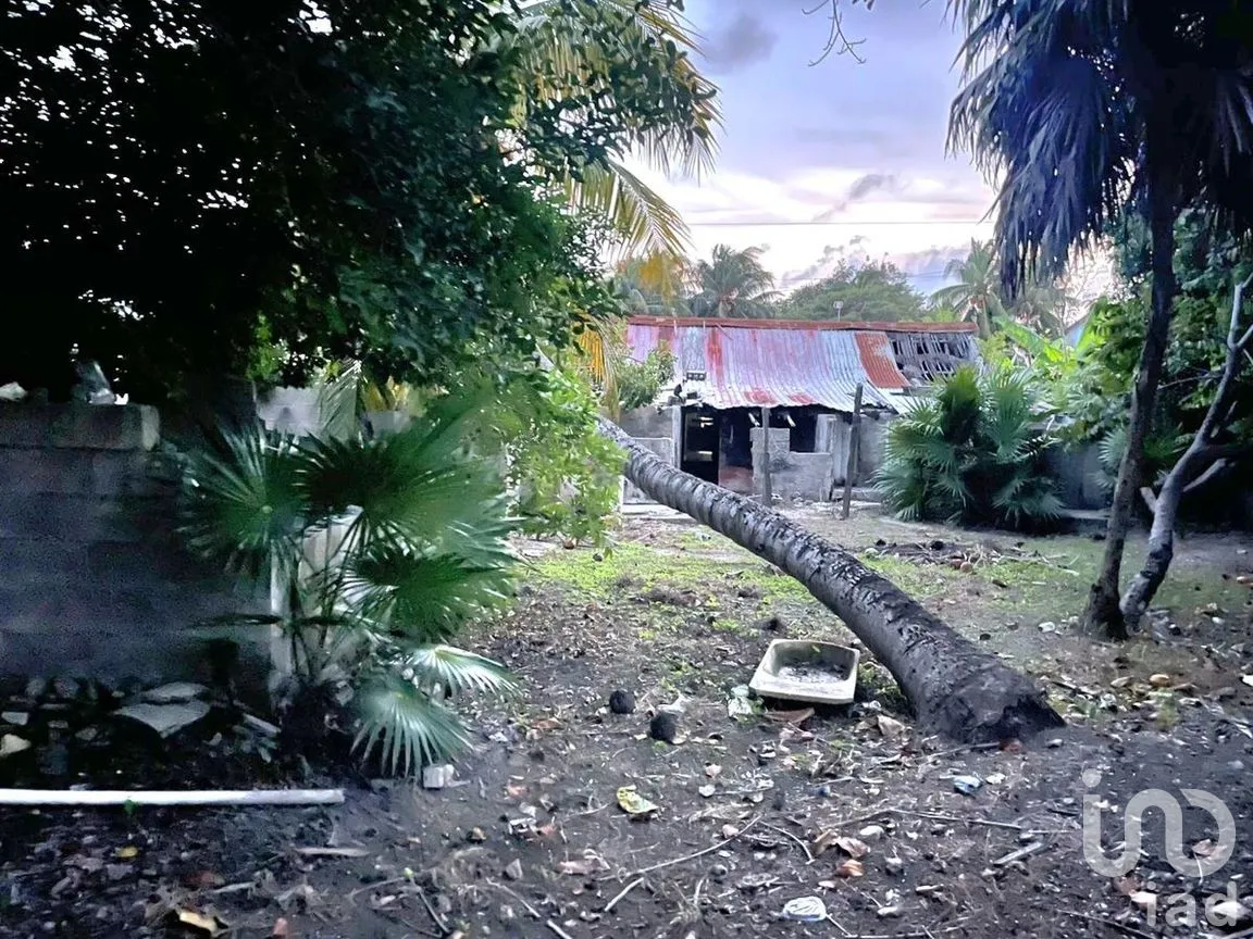 Casa en Venta en El Cuyo, Tizimín, Yucatán | NEX-276518 | iad México | Foto 6 de 6
