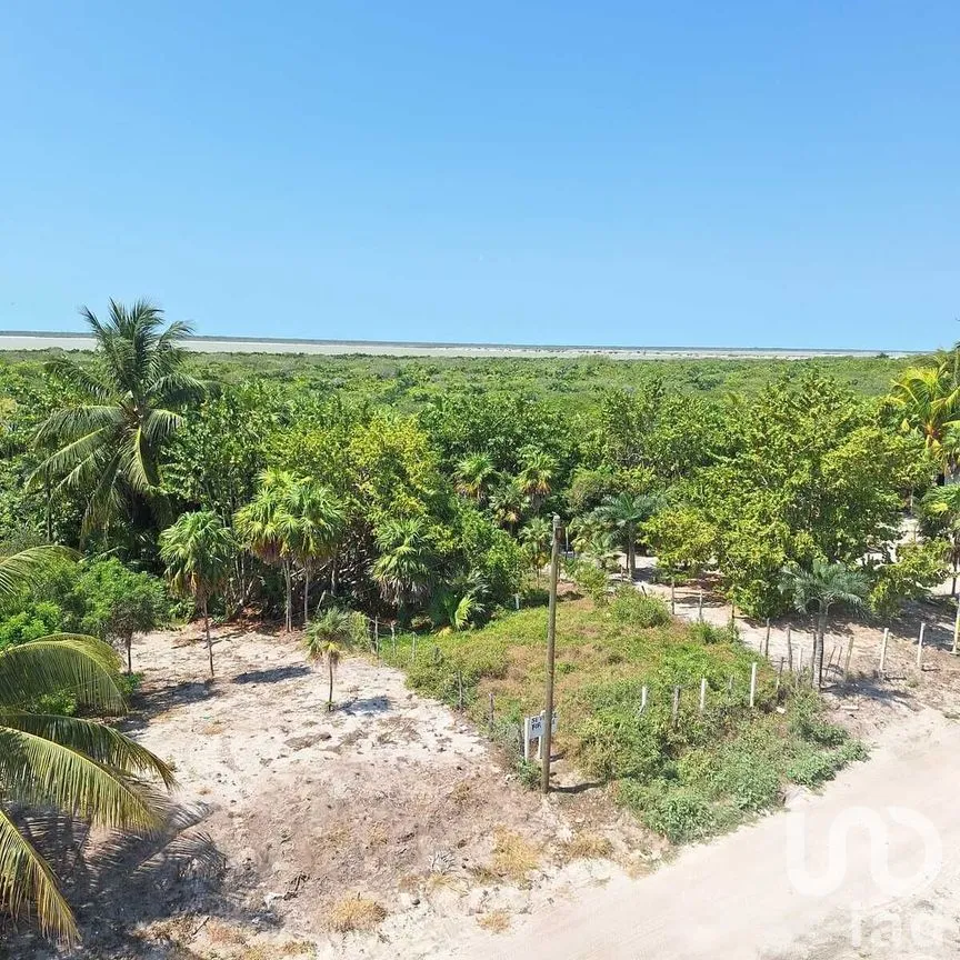 Terreno en Venta en El Cuyo, Tizimín, Yucatán | NEX-276602 | iad México | Foto 2 de 4