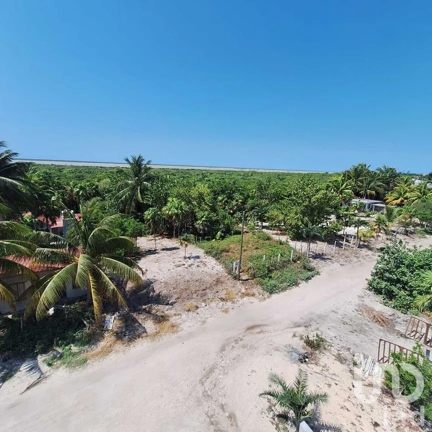 Terreno en Venta en El Cuyo, Tizimín, Yucatán | NEX-276602 | iad México | Foto 3 de 4