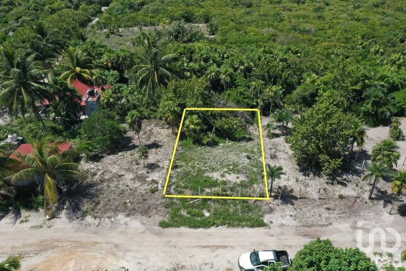 Terreno en Venta en El Cuyo, Tizimín, Yucatán | NEX-276602 | iad México | Foto 1 de 4