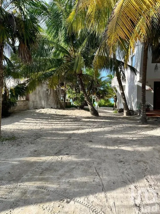 Terreno en Venta en El Cuyo, Tizimín, Yucatán | NEX-276603 | iad México | Foto 3 de 5