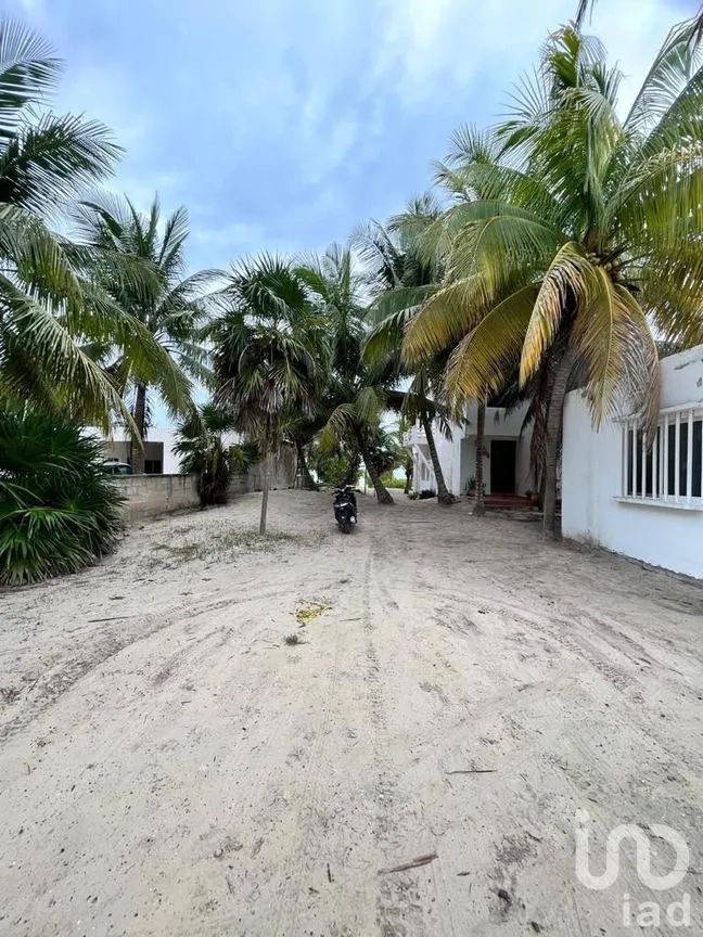 Terreno en Venta en El Cuyo, Tizimín, Yucatán | NEX-276603 | iad México | Foto 4 de 5